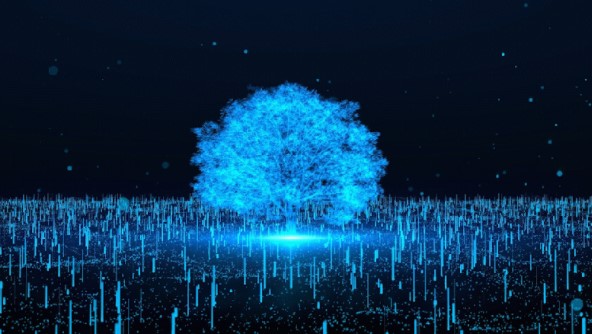 ��̬���� �������� Я�ֹ����³�